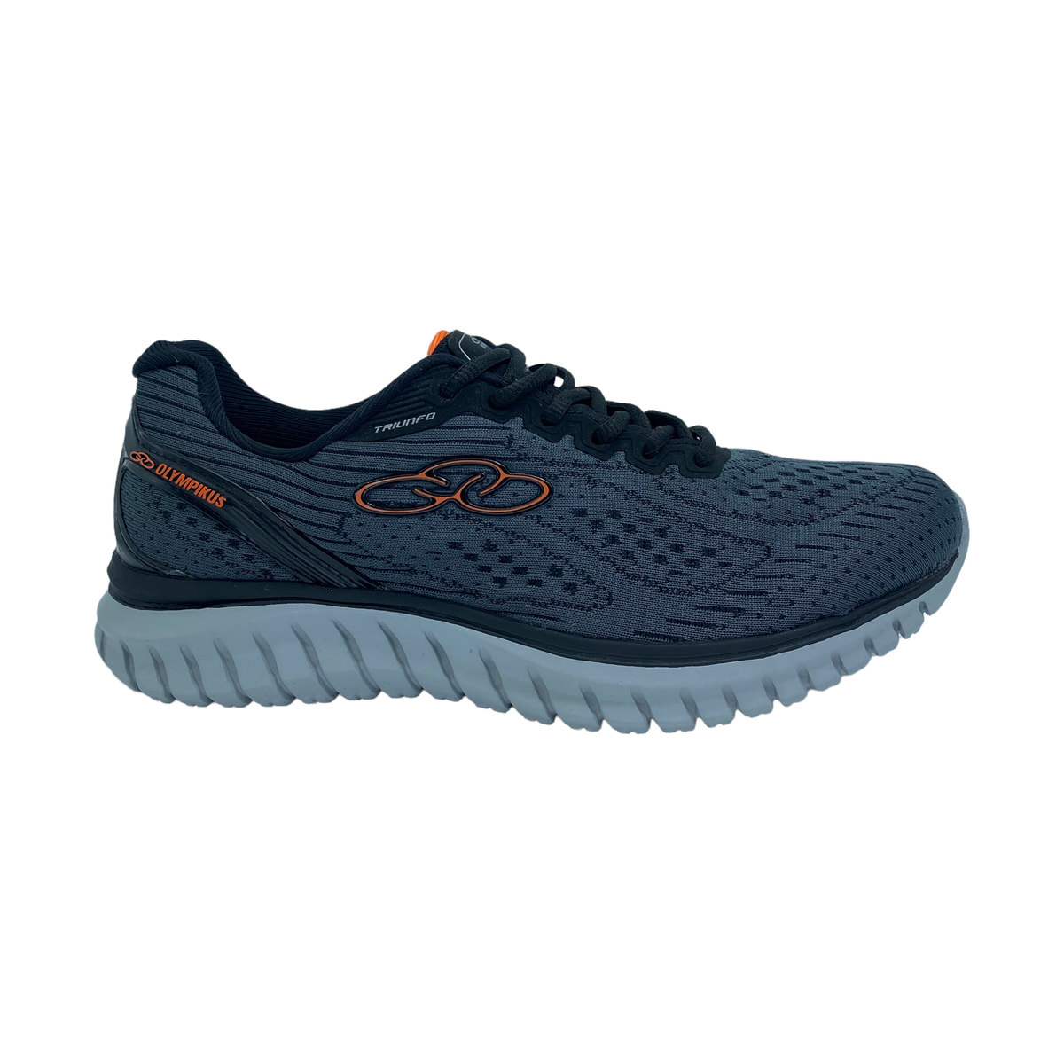 Zapatilla running TRIUNFO CHB/PT